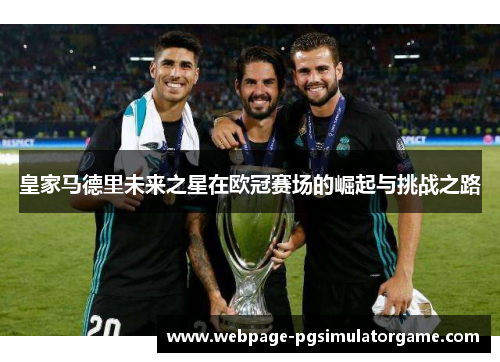 皇家马德里未来之星在欧冠赛场的崛起与挑战之路