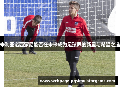 朱利亚诺西蒙尼能否在未来成为足球界的新星与希望之选