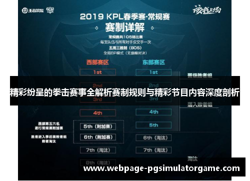 精彩纷呈的拳击赛事全解析赛制规则与精彩节目内容深度剖析