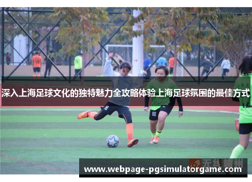 深入上海足球文化的独特魅力全攻略体验上海足球氛围的最佳方式