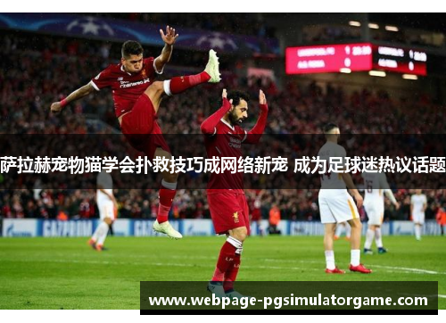 萨拉赫宠物猫学会扑救技巧成网络新宠 成为足球迷热议话题