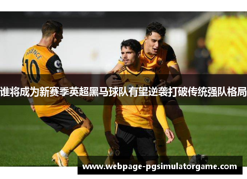 谁将成为新赛季英超黑马球队有望逆袭打破传统强队格局