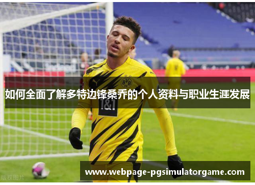 如何全面了解多特边锋桑乔的个人资料与职业生涯发展