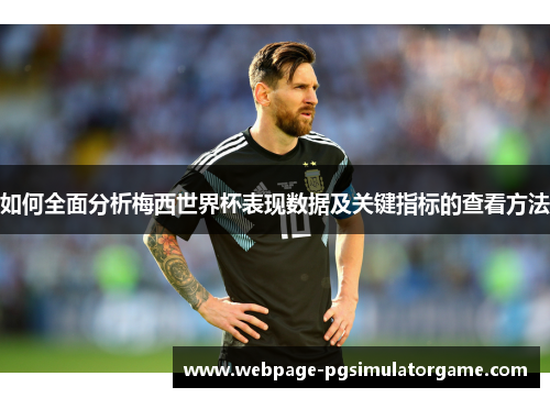 如何全面分析梅西世界杯表现数据及关键指标的查看方法