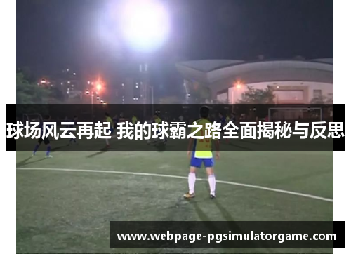球场风云再起 我的球霸之路全面揭秘与反思