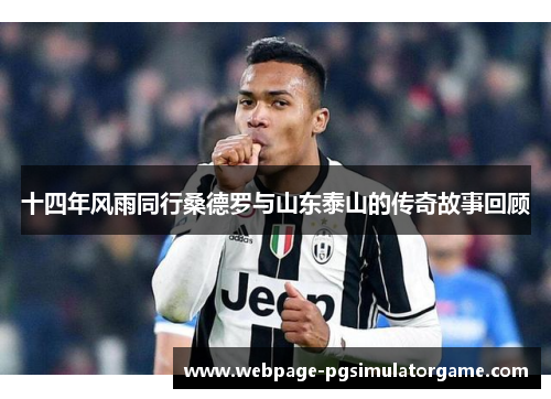 十四年风雨同行桑德罗与山东泰山的传奇故事回顾