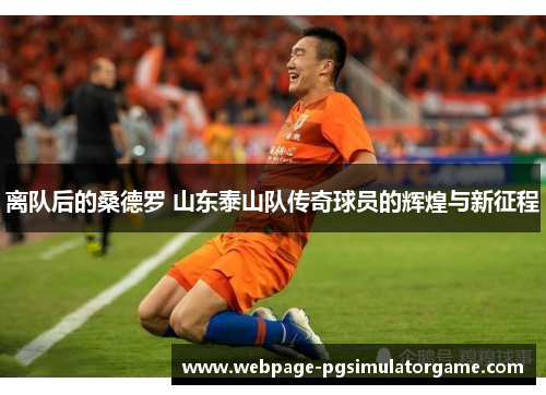 离队后的桑德罗 山东泰山队传奇球员的辉煌与新征程