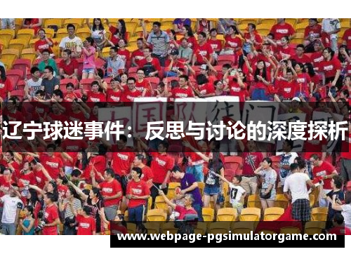 辽宁球迷事件：反思与讨论的深度探析