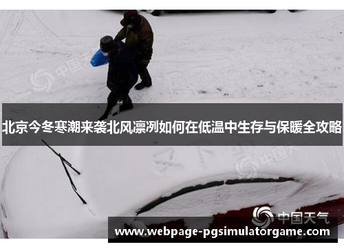 北京今冬寒潮来袭北风凛冽如何在低温中生存与保暖全攻略