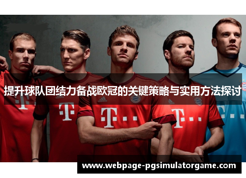 提升球队团结力备战欧冠的关键策略与实用方法探讨