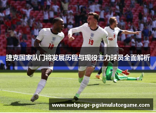 捷克国家队门将发展历程与现役主力球员全面解析