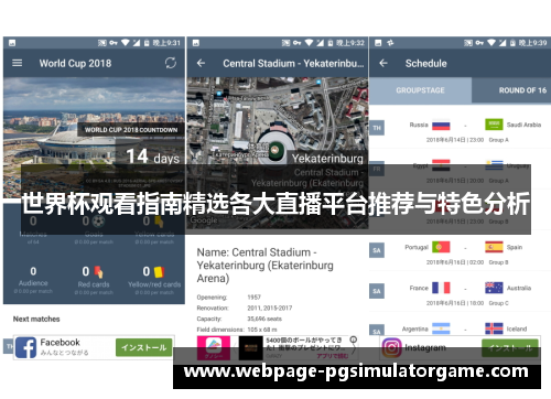 世界杯观看指南精选各大直播平台推荐与特色分析