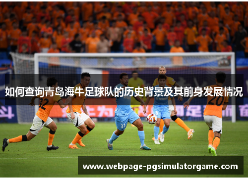 如何查询青岛海牛足球队的历史背景及其前身发展情况