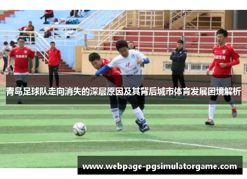 青岛足球队走向消失的深层原因及其背后城市体育发展困境解析