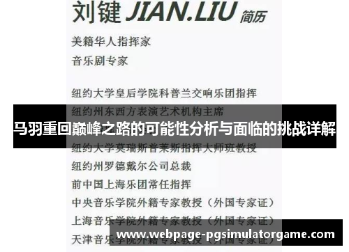 马羽重回巅峰之路的可能性分析与面临的挑战详解