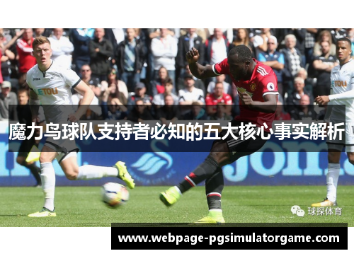 魔力鸟球队支持者必知的五大核心事实解析