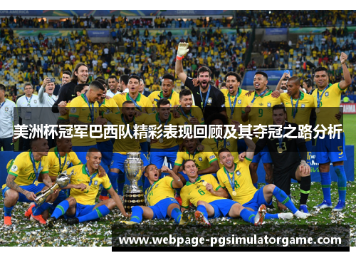 美洲杯冠军巴西队精彩表现回顾及其夺冠之路分析