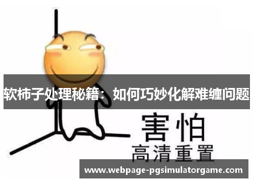 软柿子处理秘籍：如何巧妙化解难缠问题