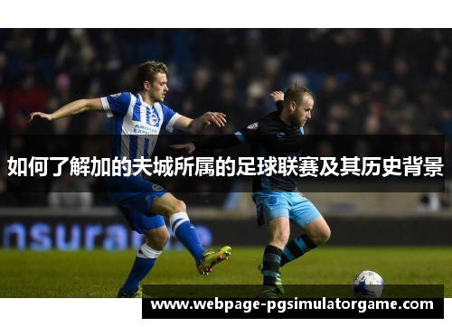 如何了解加的夫城所属的足球联赛及其历史背景