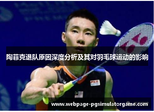 陶菲克退队原因深度分析及其对羽毛球运动的影响